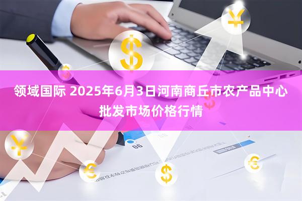 领域国际 2025年6月3日河南商丘市农产品中心批发市场价格行情