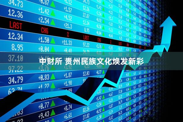 中财所 贵州民族文化焕发新彩