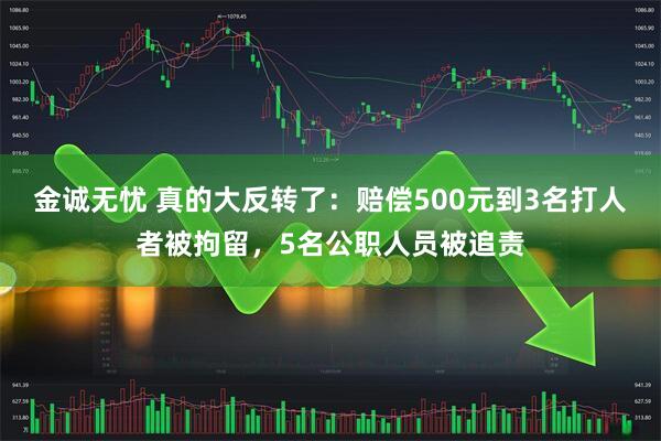 金诚无忧 真的大反转了：赔偿500元到3名打人者被拘留，5名公职人员被追责