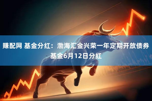 赚配网 基金分红：渤海汇金兴荣一年定期开放债券基金6月12日分红
