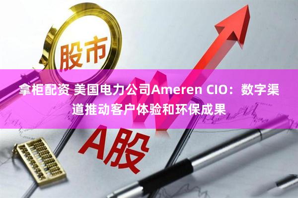 拿柜配资 美国电力公司Ameren CIO：数字渠道推动客户体验和环保成果