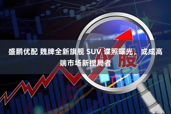 盛鹏优配 魏牌全新旗舰 SUV 谍照曝光,或成高端市场新搅局者