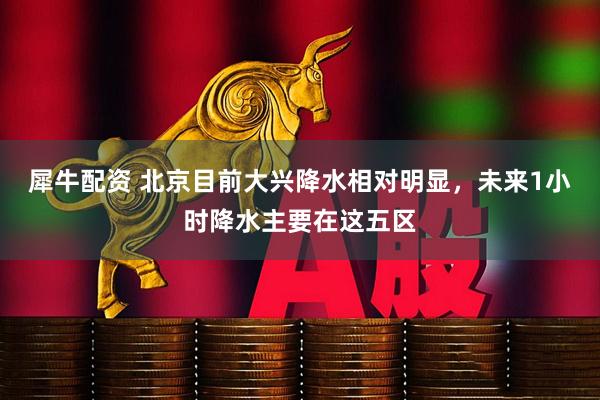 犀牛配资 北京目前大兴降水相对明显，未来1小时降水主要在这五区