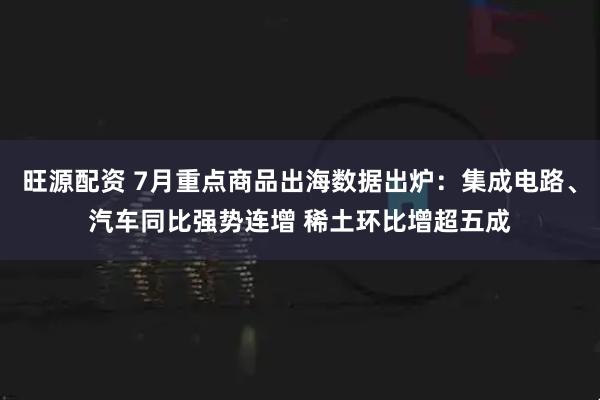 旺源配资 7月重点商品出海数据出炉：集成电路、汽车同比强势连增 稀土环比增超五成