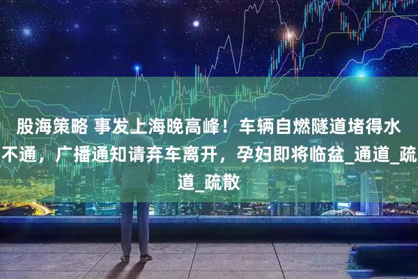 股海策略 事发上海晚高峰！车辆自燃隧道堵得水泄不通，广播通知请弃车离开，孕妇即将临盆_通道_疏散