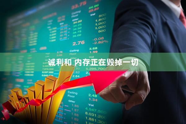 诚利和 内存正在毁掉一切